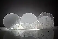 Microworld III, molten glass, cut engraving, 22 x 64 x 7&nbsp;cm, 2012