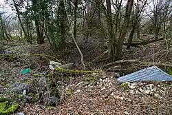 Another view