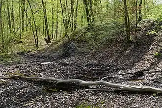 The slag heap at the Houillère well