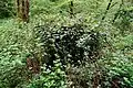 Borehole converted to drinking water supply