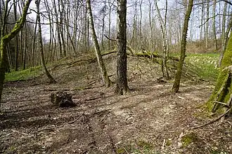 Wooded end