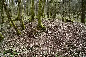 Small slag heap