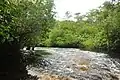 Baramani River