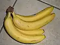 "…Bananas arrive in Hamburg straight and are bent here in the port."[2]