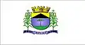 Flag of Apiaí