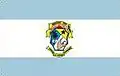Flag of Salvaterra