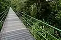 Bridge in La Selva