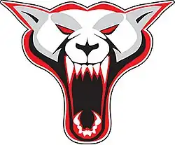 Team logo