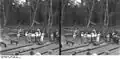 Oil in Kamerun, one of the many resources that the German Empire needed.
