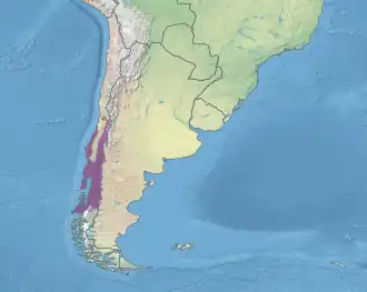 Valdivian temperate forests