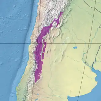 Southern Andean steppe
