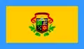Flag of Charleston