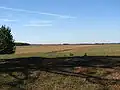 Great Plain at hajudorog