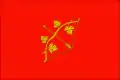 Flag of Hîncești