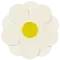 1926