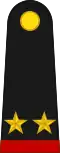 Lieutenant Colonel