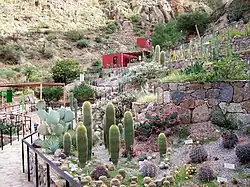 Chirau Mita Botanical Gardens, Chilecito.