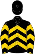 Black, gold chevrons, black cap