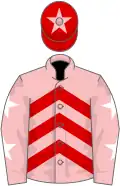 Pink, red chevrons, pink sleeves, white stars, red cap, pink star