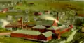 Match Factory in the 1900s