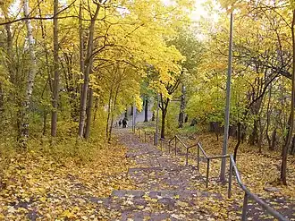 In autumn