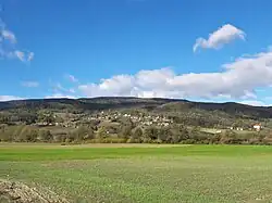 Pivola