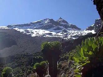 Lenana, the third highest peak, is the most ascended