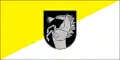Flag of Radviliškis