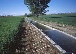 Image 6Surface irrigation system using siphon tubes