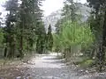 A hiking trail in the mountains.