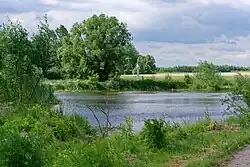 Pond