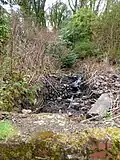 Stream at Robert Street