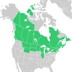 Symphyotrichum ciliolatum distribution map: Canada — Alberta, British Columbia, Manitoba, New Brunswick, Newfoundland, Northwest Territories, Nova Scotia, Ontario, Québec, Saskatchewan, and Yukon; US — Illinois, Maine, Massachusetts, Michigan, Minnesota, Montana, New Hampshire, New York, North Dakota, South Dakota, Vermont, Wisconsin, and Wyoming.