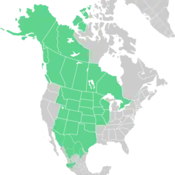 Symphyotrichum falcatum distribution map: Canada — Alberta, British Columbia, Manitoba, Northwest Territories, Ontario, Saskatchewan, and Yukon; Mexico — Chihuahua, Coahuila, Durango, Jalisco, Nuevo León, and Sonora; US — Alaska, Arizona, Colorado, Idaho, Illinois, Iowa, Kansas, Minnesota, Missouri, Montana, Nebraska, New Mexico, North Dakota, Oklahoma, South Dakota, Texas, Utah, Wisconsin, and Wyoming.