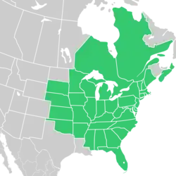 Symphyotrichum pilosum native distribution: Canada — Ontario and Québec; US — Alabama, Arkansas, Connecticut, Delaware, District of Columbia, Florida, Georgia, Illinois, Indiana, Iowa, Kansas, Kentucky, Maine, Maryland, Massachusetts, Michigan, Minnesota, Mississippi, Missouri, Nebraska, New Hampshire, New Jersey, New York, North Carolina, Ohio, Oklahoma, Pennsylvania, Rhode Island, South Carolina, South Dakota, Tennessee, Vermont, Virginia, West Virginia, and Wisconsin.