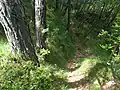 Mount Tavagnone, crossroad at Dos de le Mee of the trail at Bocca alla Croce, Tavagnone and Pavarì