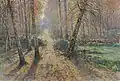 Journey through the woods