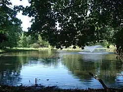 Edge of the pond