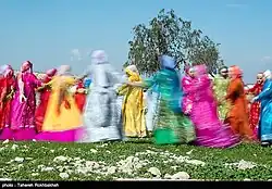 جشنواره گل نرگس کازرون