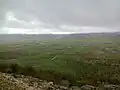 بعد از یک روز بارانی در فصل بهار