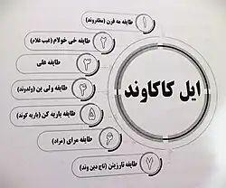 طایفه های ایل کاکاوند