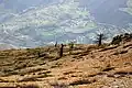 ارفع کوه، مازندران، ایران