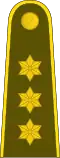 KapitonasLithuanian Land Force