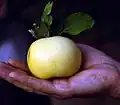 میوه