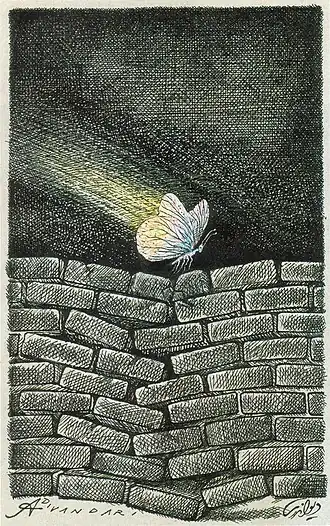 پروانه روی دیوار