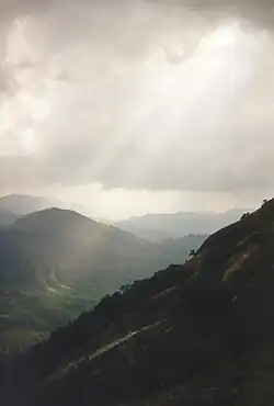 the highest peak in south India
