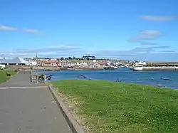 Arbroath from Inchape Park
