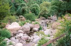 نمایی از رودخانه