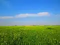 طبیعت روستای عطیبه در زمستان ۱۳۹۲