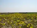 طبیعت روستای عطیبه